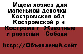 Ищем хозяев для маленькой девочки. - Костромская обл., Костромской р-н, Кострома г. Животные и растения » Собаки   